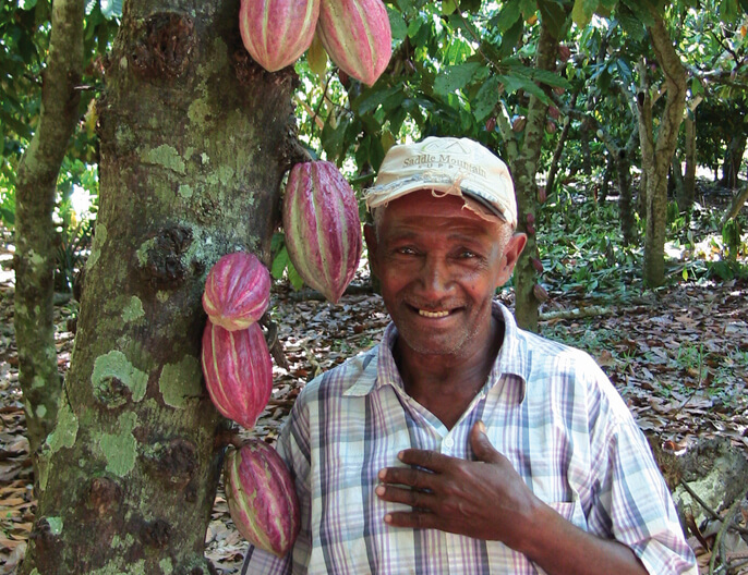 Cacaoyer cacao lait grand cru coopÃ©rative LazanâNy Sambirano Ã  Madagascar